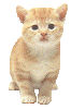 shirley.jpg