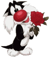 cat_with_flowers.gif