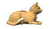 catpret2.gif