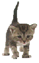shirley.jpg