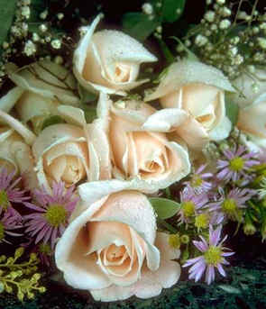 lotsofroses.jpg